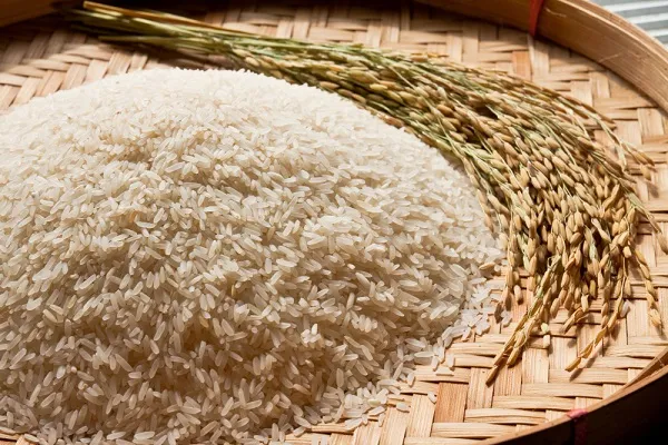 riz de Camargue IGP