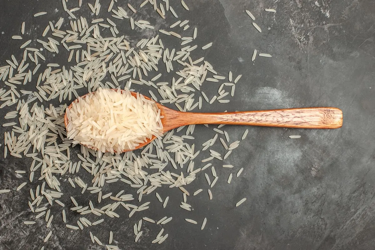 cuillère avec du riz semi complet