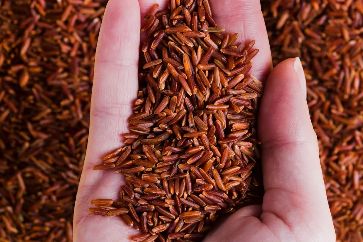 riz rouge non cuit